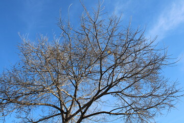 Backgrounds and textures of nature at different times