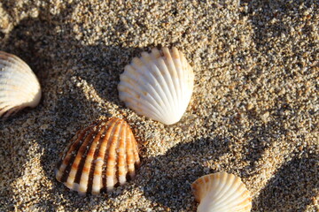 Receiving the afternoon sun by the sea a pleasant moment