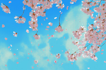 Beautiful cherry blossom or sakura tree branches on blue sky with copy space background in spring season. Illustration graphic design. generative ai.