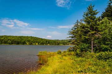 Spruce Knob Lake on a Beautiful Morning, West Virginia USA, West Virginia