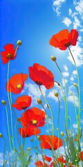 Bright poppy flowers against the blue sky. Field of wild poppies on a sunny spring day. Floral banner. Red poppy as a symbol of the memory of the victims of the war. Generative AI