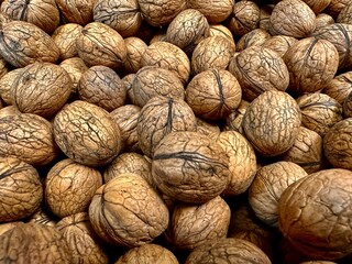 Backgrounds and textures of nature at different times