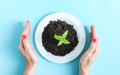 A plastic plate with earth and a green sprout in the hands of a caucasian woman on a light blue.