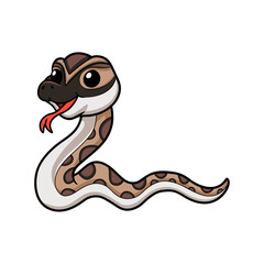 Cute python molurus bivittatus cartoon