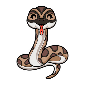 Cute python molurus bivittatus cartoon