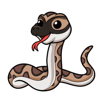 Cute python molurus bivittatus cartoon