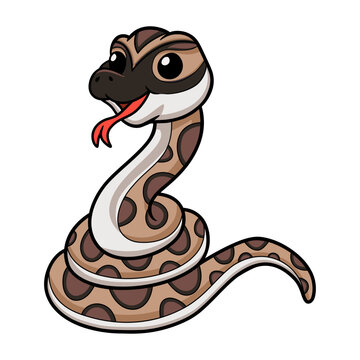 Cute python molurus bivittatus cartoon