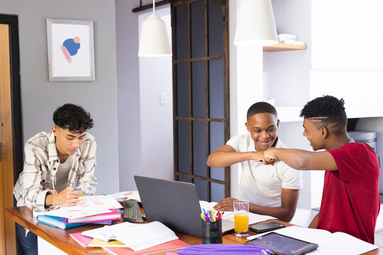Image of happy diverse teenage male friends with laptop at home fist bumping