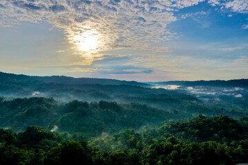 Tropical forest or jungle background with the sun shining early on the day during sunrise