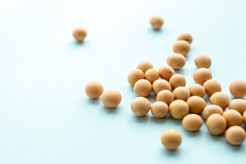 大豆　植物性タンパク質