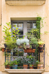 Fototapeta na wymiar Window on an old house with flower pots in Dieppe, France