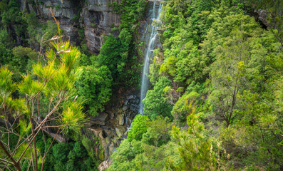 Fototapeta premium Twin Falls close up view on the walking track at Fitzroy Falls in Morton National Park in Kangaroo Valley, Southern Highlands, NSW, Australia.