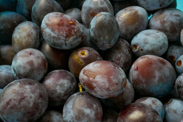 Plum set in a blue cup.Farm organic bio fruits. plum abundance.Plums harvest.Diet healthy fruit 