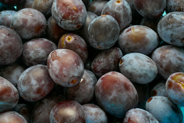Plum background.Fresh plums set in a blue cup.Farm organic bio fruits. plum abundance.Plums harvest.Diet healthy fruit 