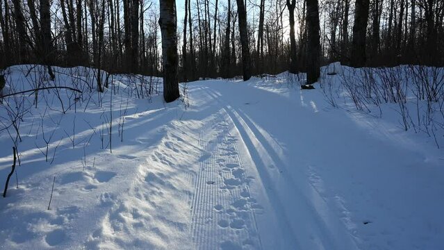 Time lapse of the sun moving through the trees that surround a cross country ski trail. The sun is creating a sun star effect and the snow has a blue color cast.

