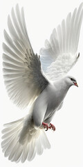 A free flying white dove isolated on a white background. Generative AI