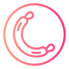 Obraz premium sausage gradient icon