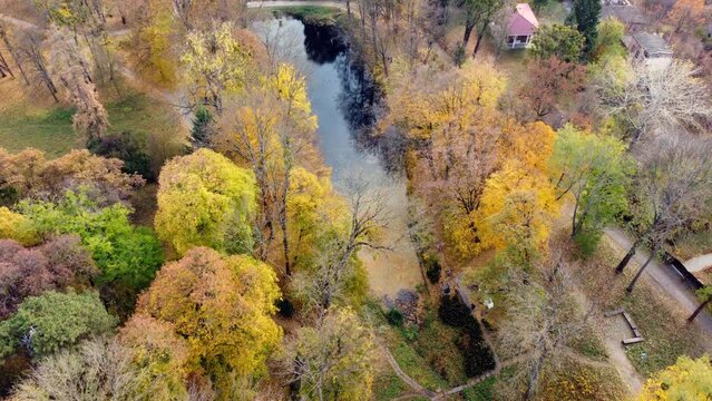 Flying over the autumn park. Many trees with yellow green and fallen leaves, lakes, people walking along dirt paths in park on autumn day. Top view. Aerial drone view. Beautiful natural background