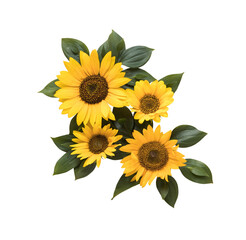 sunflower with leaves on transparent background