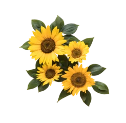 Poster sunflower with leaves on transparent background © Hendrikus