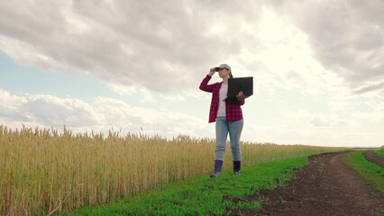 Farmer woman with computer tablet in green corn field. Farmer in corn field works with computer, Business Farm. Agriculture concept. Modern digital technologies. Agronomist on farm, Worker working