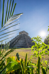 Photo of the pyramid in Chichen Itza taken through the plants.