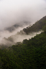 misty morning in the Colombian mountains
