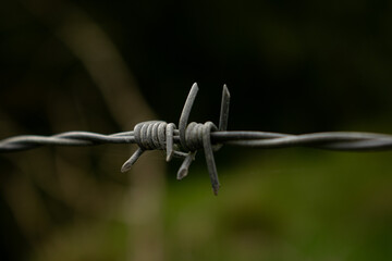 Barbed Wire Fence