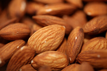 Dry fruit almond close up background prunus amygdalus family rosaceae botanical high quality big size print