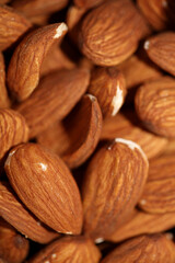 Dry fruit almond close up background prunus amygdalus family rosaceae botanical high quality big size print