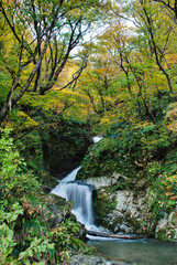 Japanese scenery - waterfall in the forest