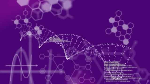 Animation of data processing, dna and chemical structure against purple gradient background