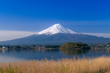 河口湖の島と富士山