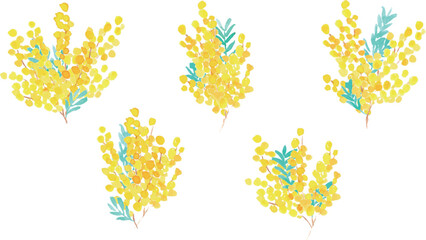 水彩画。水彩タッチのミモザイラストベクターフレーム。ミモザのベクター背景。Watercolor. Mimosa illustration vector frame with watercolor touch. Mimosa vector background.