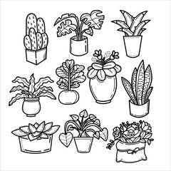 handdrawn doodle indoor plant garden potted plant for room decoration line outline