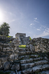 The ruins of a beautiful pyramid in the archaeological zone of Tulum in Mexico.