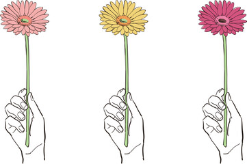 一輪の花を持つ手のシンプルなイラスト　カラーバリエーション