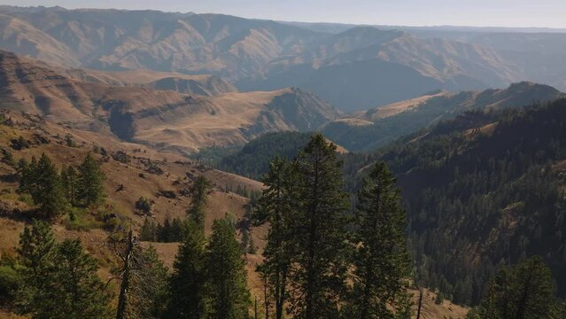Scenic aerial from behind trees overlooking Hells Canyon River Gorge