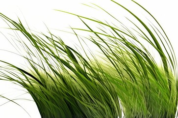 Naklejka premium grass close up on a white background. Generative AI