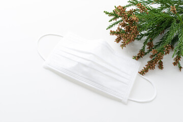 花粉・杉・花粉症