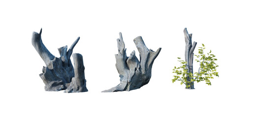 Fototapeta premium beautiful stump 