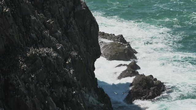 Slow Motion Skomer Island Coastal Rocky Cliff Edge, Atlantic Ocean Crashing Waves and Colony of Puffins Perched on Steep Cliffs Above Sea, Pembrokeshire Coast National Park, Wales, UK