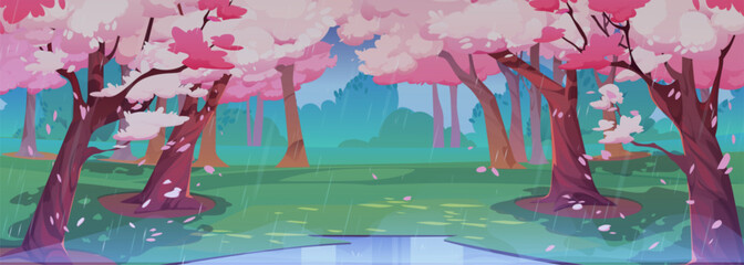 Japanese cherry rainy garden with sakura blossom. Spring landscape of park with green grass glade with puddle, chinese cherry trees with falling pink flower petals, vector cartoon illustration © klyaksun