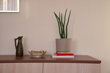 Closeup of ceramic vase, bowl and potted plant in bright living room