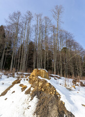 Panorama of the mountainous area, winter forest,walks on the mountain plateau.