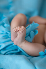 baby feet in a blue blanket