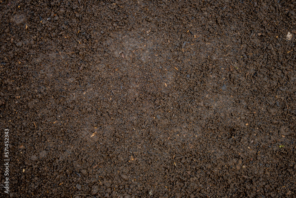 Poster abstract soil texture for background
