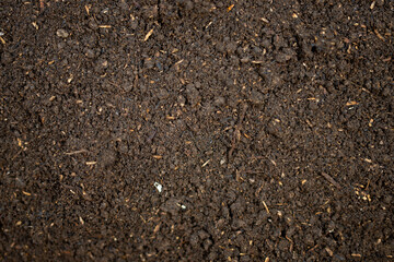 Fertile soil texture for background
