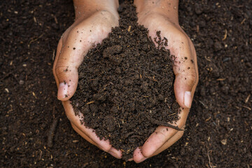 Two hands holding fertile soil