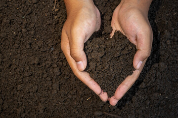 Two hand holding soil for copy space and background